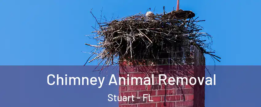  Chimney Animal Removal Stuart - FL