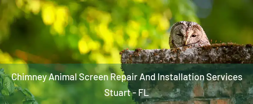  Chimney Animal Screen Repair And Installation Services Stuart - FL