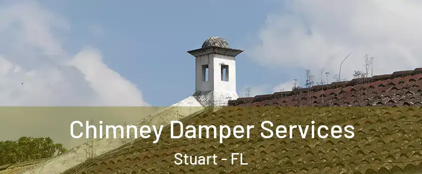  Chimney Damper Services Stuart - FL