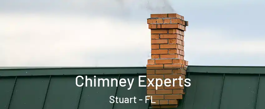  Chimney Experts Stuart - FL
