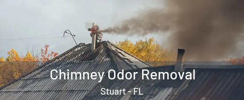  Chimney Odor Removal Stuart - FL
