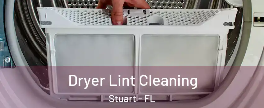  Dryer Lint Cleaning Stuart - FL