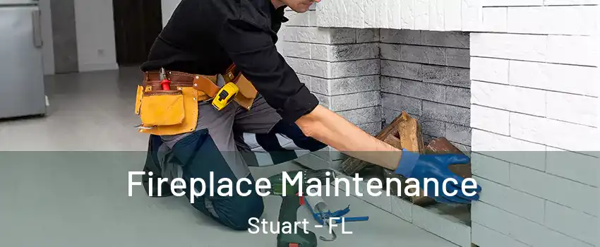  Fireplace Maintenance Stuart - FL