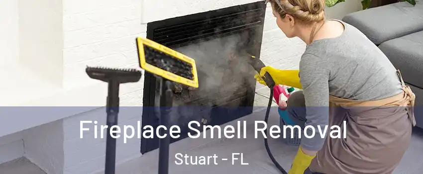 Fireplace Smell Removal Stuart - FL