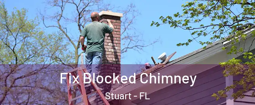  Fix Blocked Chimney Stuart - FL
