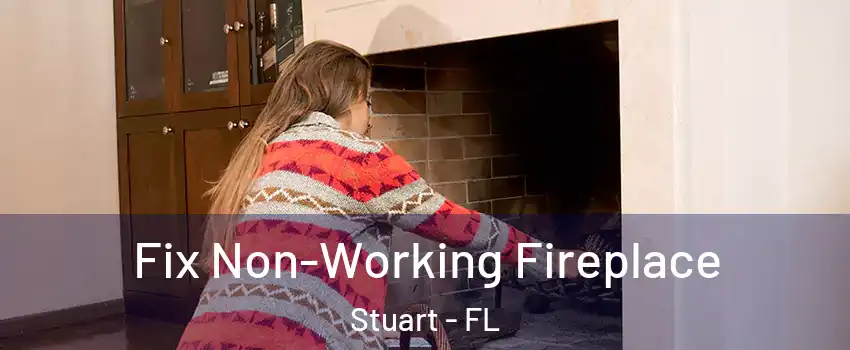  Fix Non-Working Fireplace Stuart - FL
