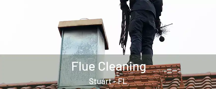  Flue Cleaning Stuart - FL