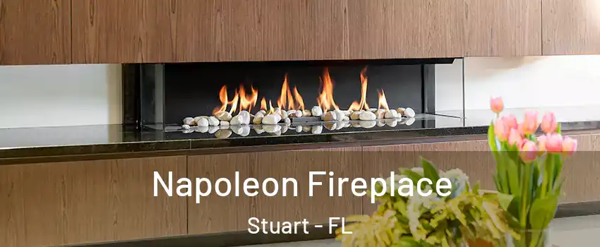  Napoleon Fireplace Stuart - FL